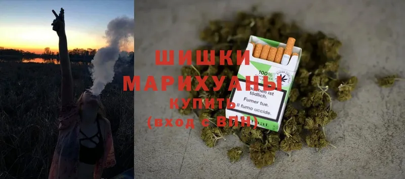 мориарти телеграм  Кольчугино  Шишки марихуана OG Kush 